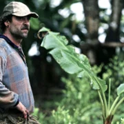 Operaci&oacute;n E - galeria zdjęć - filmweb