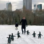 Mr. Popper's Penguins - galeria zdjęć - filmweb