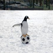 Mr. Popper's Penguins - galeria zdjęć - filmweb
