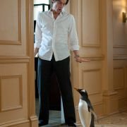 Mr. Popper's Penguins - galeria zdjęć - filmweb