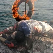 Admiral - galeria zdjęć - filmweb