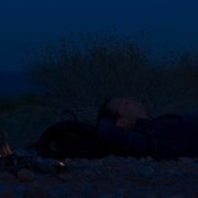Ty kontra dzicz - galeria zdjęć - filmweb
