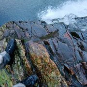 You vs. Wild - galeria zdjęć - filmweb