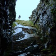 You vs. Wild - galeria zdjęć - filmweb