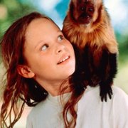 Małpi kłopot - galeria zdjęć - filmweb