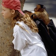 Monkey Trouble - galeria zdjęć - filmweb