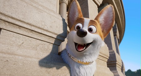 Corgi, psiak Królowej - galeria zdjęć - filmweb