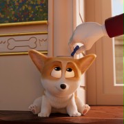 Corgi, psiak Królowej - galeria zdjęć - filmweb