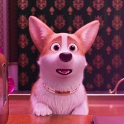 Corgi, psiak Królowej - galeria zdjęć - filmweb