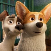 The Queen's Corgi - galeria zdjęć - filmweb