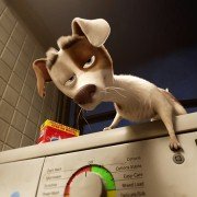 The Queen's Corgi - galeria zdjęć - filmweb