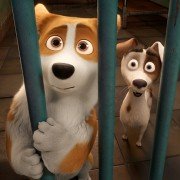 The Queen's Corgi - galeria zdjęć - filmweb
