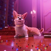 The Queen's Corgi - galeria zdjęć - filmweb