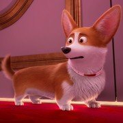 The Queen's Corgi - galeria zdjęć - filmweb