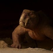 Life on Our Planet - galeria zdjęć - filmweb