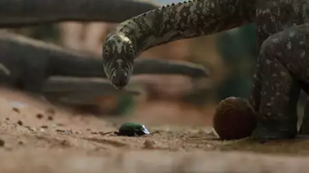 Życie na planecie Ziemia - galeria zdjęć - filmweb