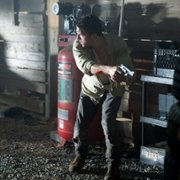 Survive the Night - galeria zdjęć - filmweb