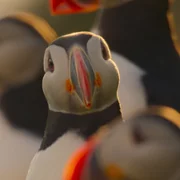 Our Oceans - galeria zdjęć - filmweb