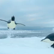 Our Oceans - galeria zdjęć - filmweb