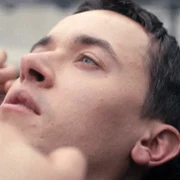 W ukryciu - galeria zdjęć - filmweb