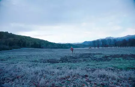 Godność - galeria zdjęć - filmweb