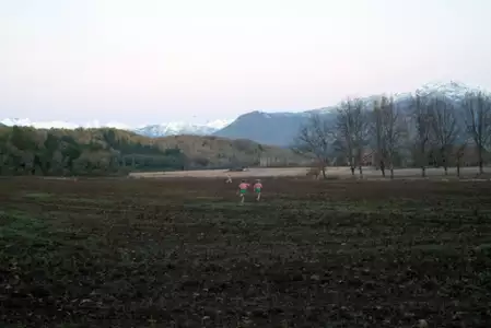 Godność - galeria zdjęć - filmweb