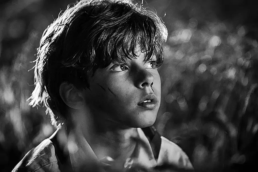 Świt - galeria zdjęć - filmweb