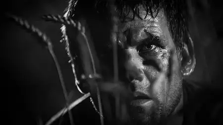 Świt - galeria zdjęć - filmweb