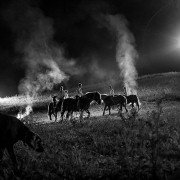 Ausma - galeria zdjęć - filmweb