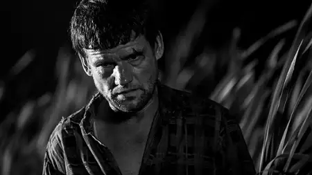 Świt - galeria zdjęć - filmweb