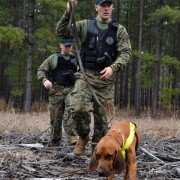 Lone Target - galeria zdjęć - filmweb