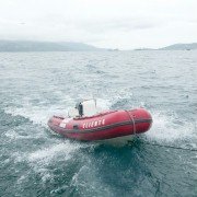 Treasure Quest: Snake Island - galeria zdjęć - filmweb