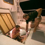 Treasure Quest: Snake Island - galeria zdjęć - filmweb