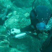 Treasure Quest: Snake Island - galeria zdjęć - filmweb