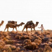 Tracks - galeria zdjęć - filmweb