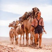 Tracks - galeria zdjęć - filmweb