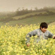 Jardín de Amapolas - galeria zdjęć - filmweb