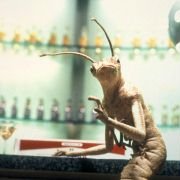 Men in Black II - galeria zdjęć - filmweb