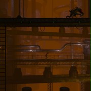 Oddworld: Abe's Oddysee HD: New N' Tasty - galeria zdjęć - filmweb