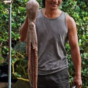 Doogie Kamealoha, lekarka - galeria zdjęć - filmweb