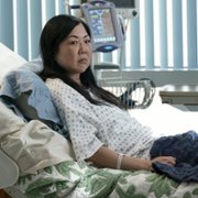 Doogie Kamealoha, M.D. - galeria zdjęć - filmweb