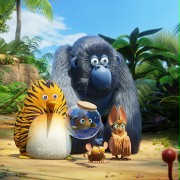 Rumble in the jungle