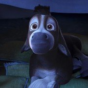 The Star - galeria zdjęć - filmweb