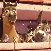 The Star - galeria zdjęć - filmweb