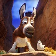 The Star - galeria zdjęć - filmweb