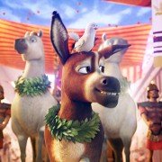 The Star - galeria zdjęć - filmweb