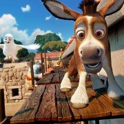 The Star - galeria zdjęć - filmweb