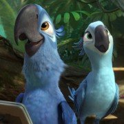 Rio 2 - galeria zdjęć - filmweb