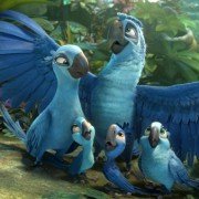 Rio 2 - galeria zdjęć - filmweb