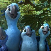 Rio 2 - galeria zdjęć - filmweb